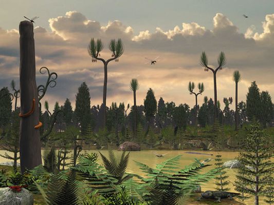 Et Karbon landskab med bregner og de hje Lycopod trer