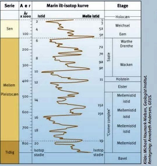 Variationer i oxygen-isotoper mellem egentlige istider og mellem-istider i lbet af mellem- og sen-Pleistocn