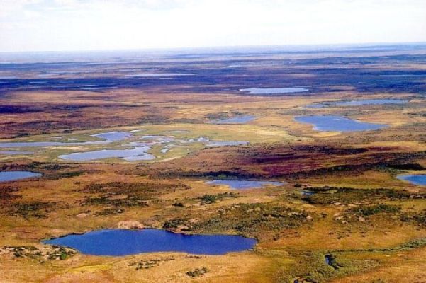 Arktisk landskab fra Tamyr halven i det nordlige Sibirien