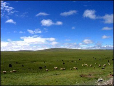 Hjsletten i Qinghai Provinsen