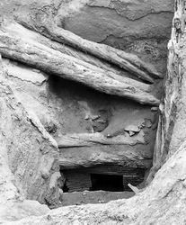 Tmmerstokke af cypres brugt i Tuyuhun gravhje