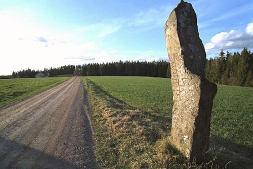 Nï¿½velsjï¿½-rune stone in Småland 