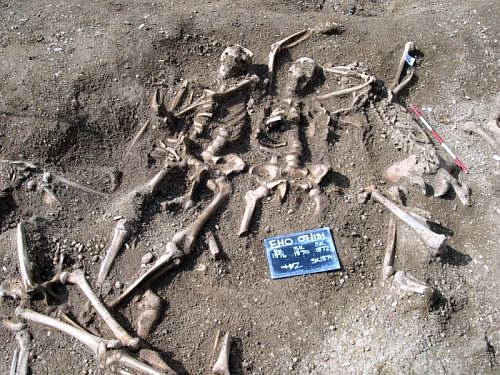 Skeletons excavated in Kendrew Quadrangle, St John's College, Oxford