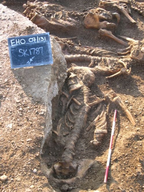Skeletons unearthed in Kendrew Quadrangle, St John's College, Oxford