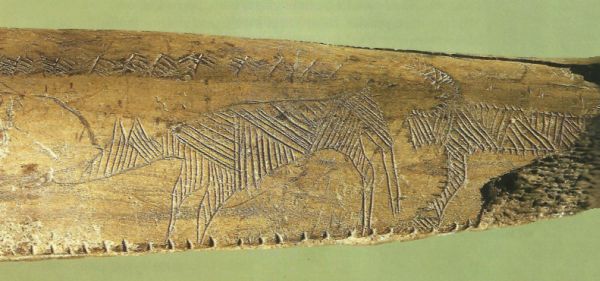 Antler stick with engraved figures found in Aamosen