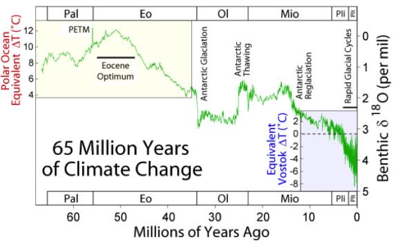 Climate changes during 65 mill. years