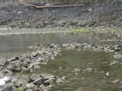 Fiskegærde af sten på  Lasqueti Island