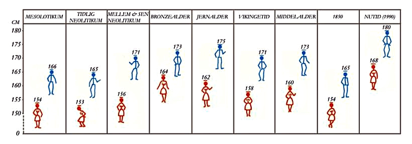 The height of the Danes in different
historical periods