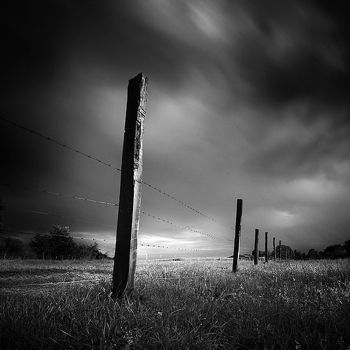 Landscape in black and white