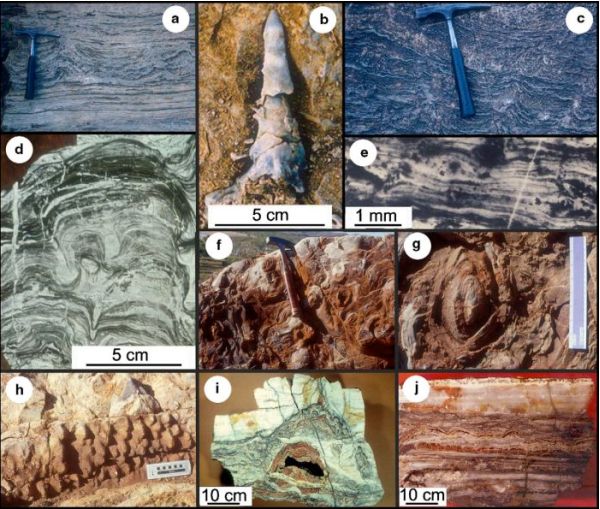 Eksempler på Arkæikum stromatolitter