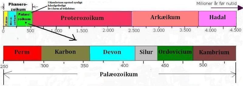 De geologiske perioder i Palæozoikum