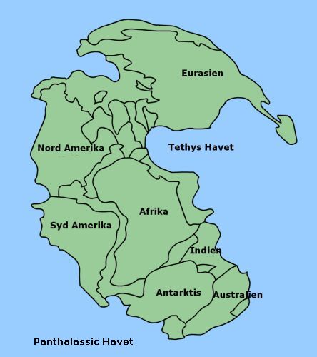 Superkontinentet Pangæa
