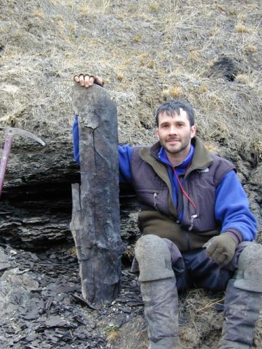 Et 54 millioner gammelt stykke træ fra Eocæn udgravet på Ellesmere Island.