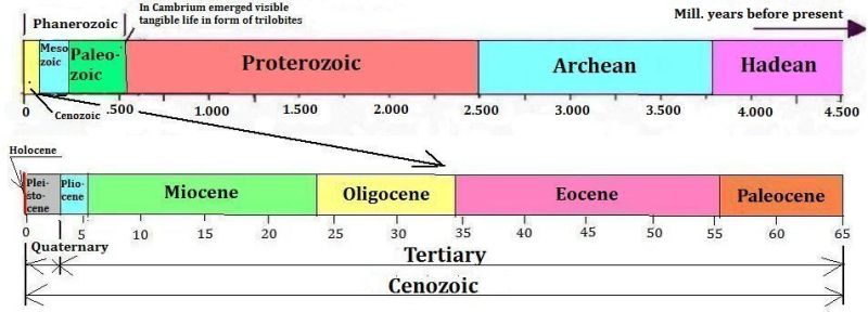 Timeline of Earth's 
geological periods
