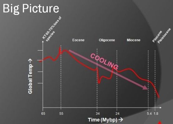 Earth's Cooling during Cenozoic