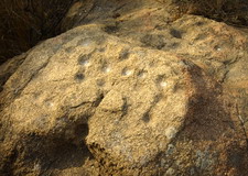 I Baimiaozi Bjergene nær byen Chifeng i Indre Mongoli findes en sten fra neolitisk tid, som afbilleder Store Bjørn og andre stjernebilleder