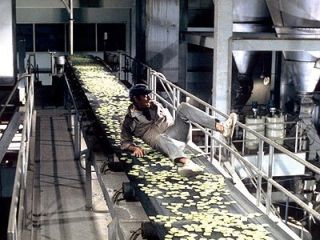 Thorn in the Soylent Green factory 2