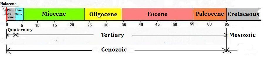 Cenozoic, Tertiary and Quaternary