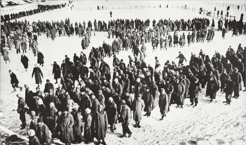 Tyske soldater overgiver sig ved Stalingrad